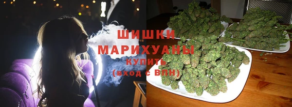 мдпв Майский