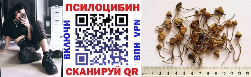 Псилоцибиновые грибы GOLDEN TEACHER  Устюжна 